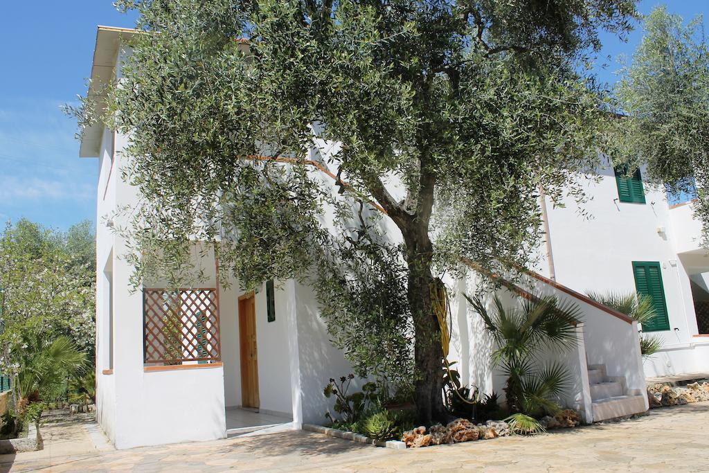 Green Garden Eco-Holiday Вьесте Экстерьер фото