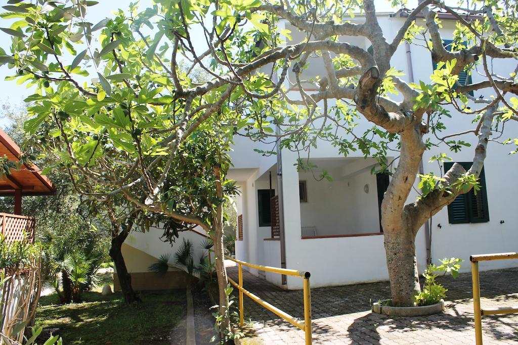 Green Garden Eco-Holiday Вьесте Экстерьер фото