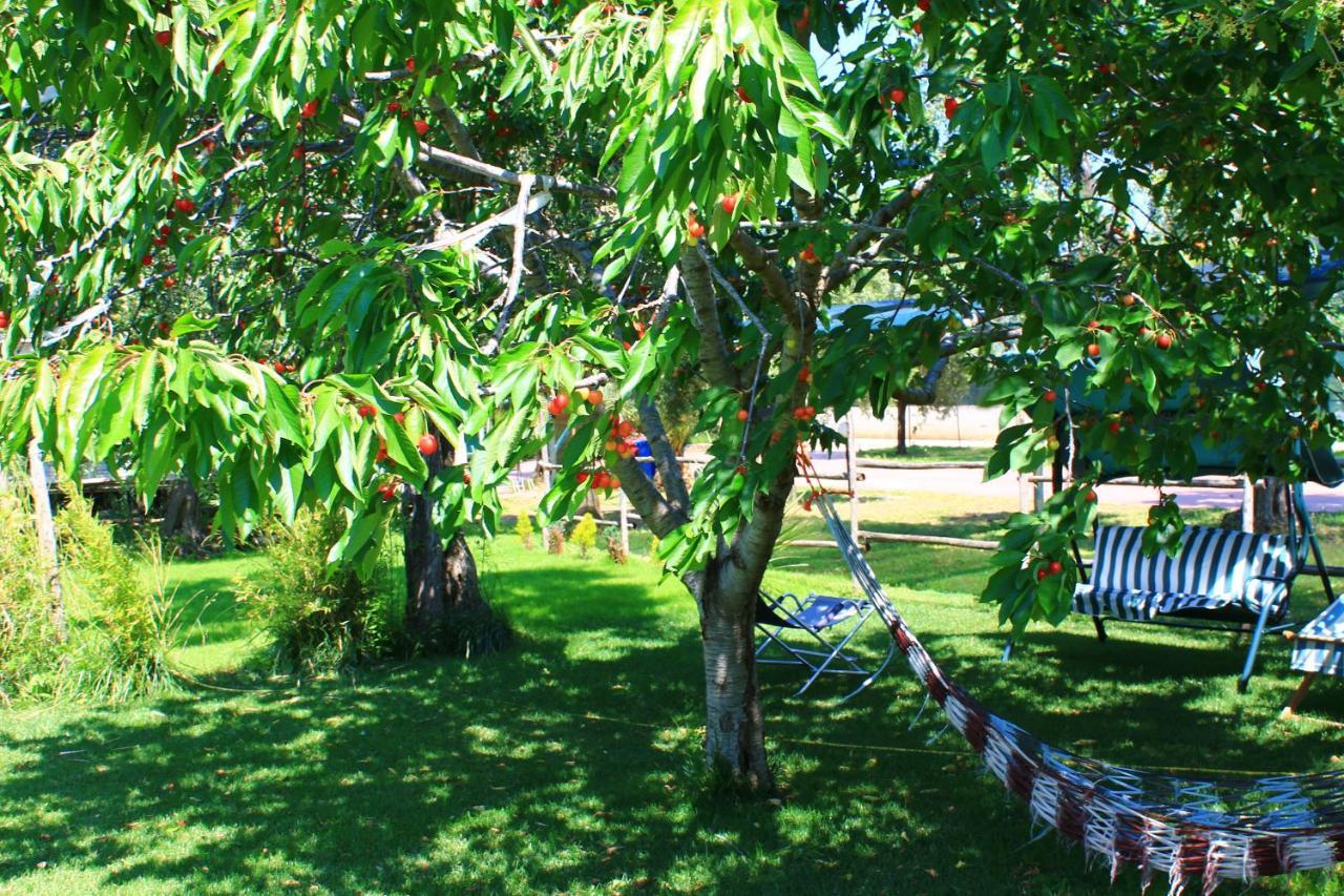 Green Garden Eco-Holiday Вьесте Экстерьер фото
