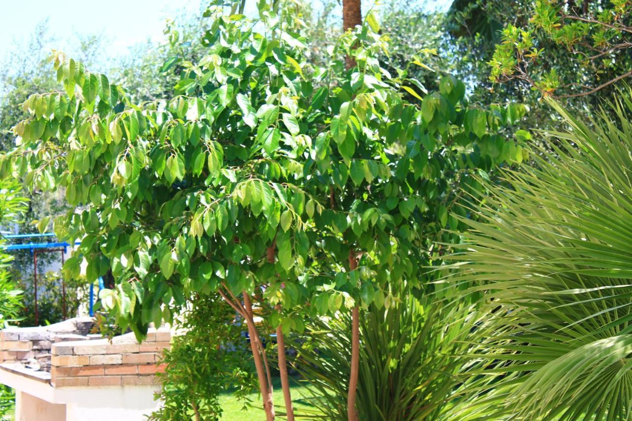 Green Garden Eco-Holiday Вьесте Экстерьер фото